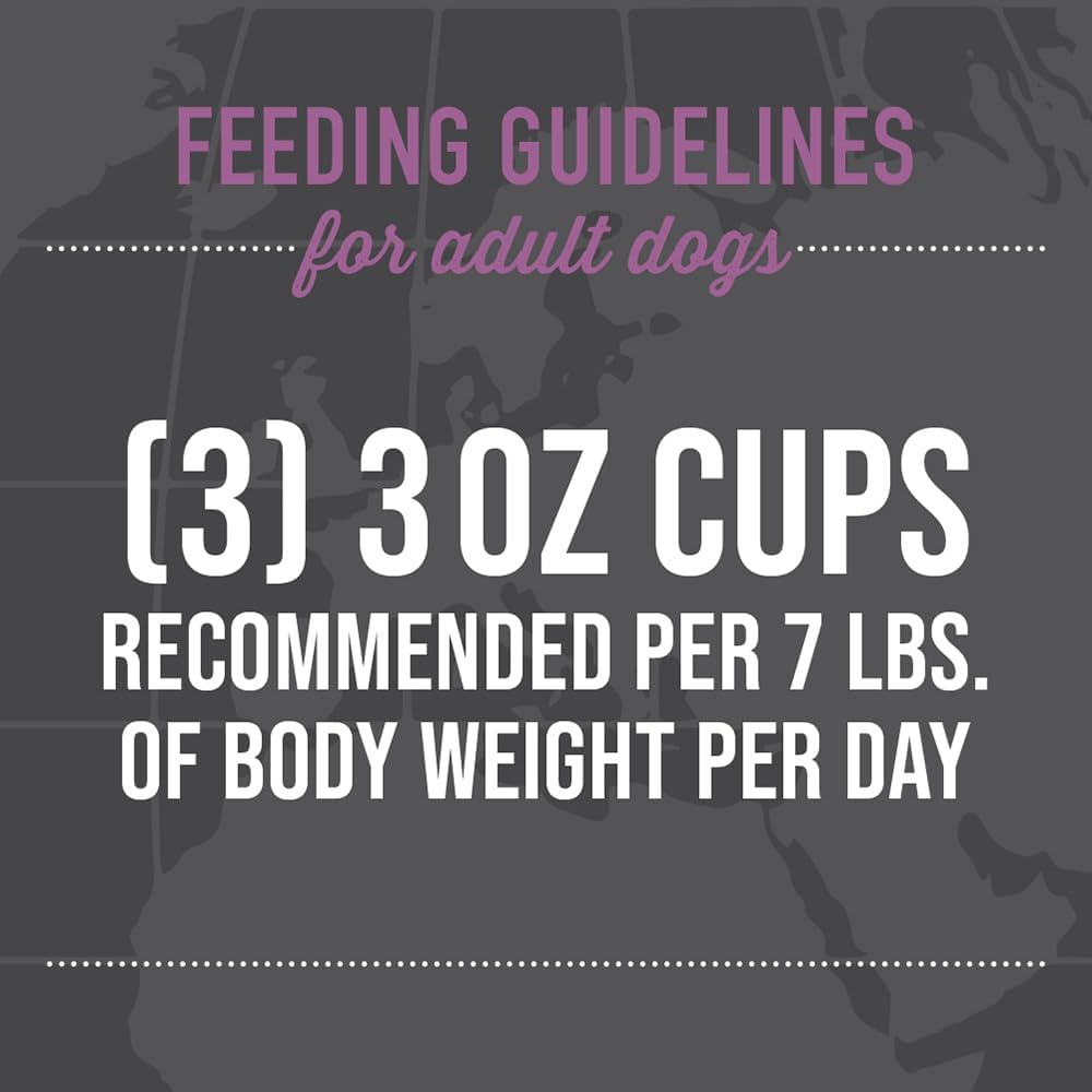 Tiki Dog Taste of The World France Beef Potatoes and Carrots in Broth Wet Dog Food Trays - 3 Oz - Case of 10