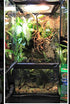 Zoo Med Laboratories Paludarium Aquarium and Terrarium Habitat Kit - 10 Gallons - L:12" X W:12" X H24" Inches  