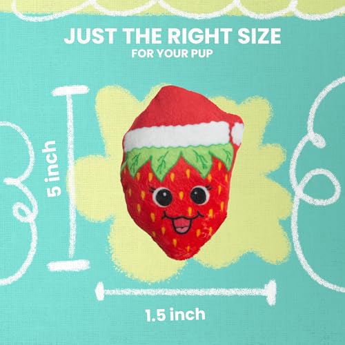 Snugarooz Holiday Berry Christmas Squeak and Crinkle Plush Catnip Cat Toy