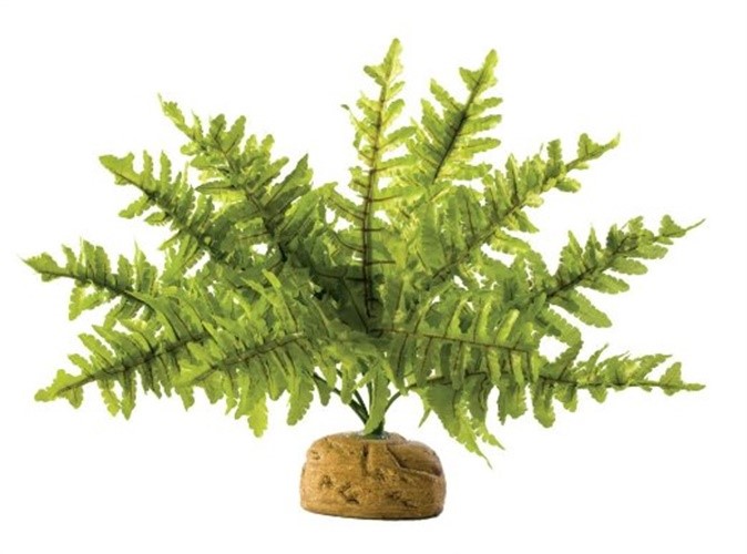 Exo Terra Boston Fern Aquarium and Terrarium Décor Plant Small