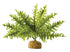 Exo Terra Boston Fern Aquarium and Terrarium Décor Plant Small