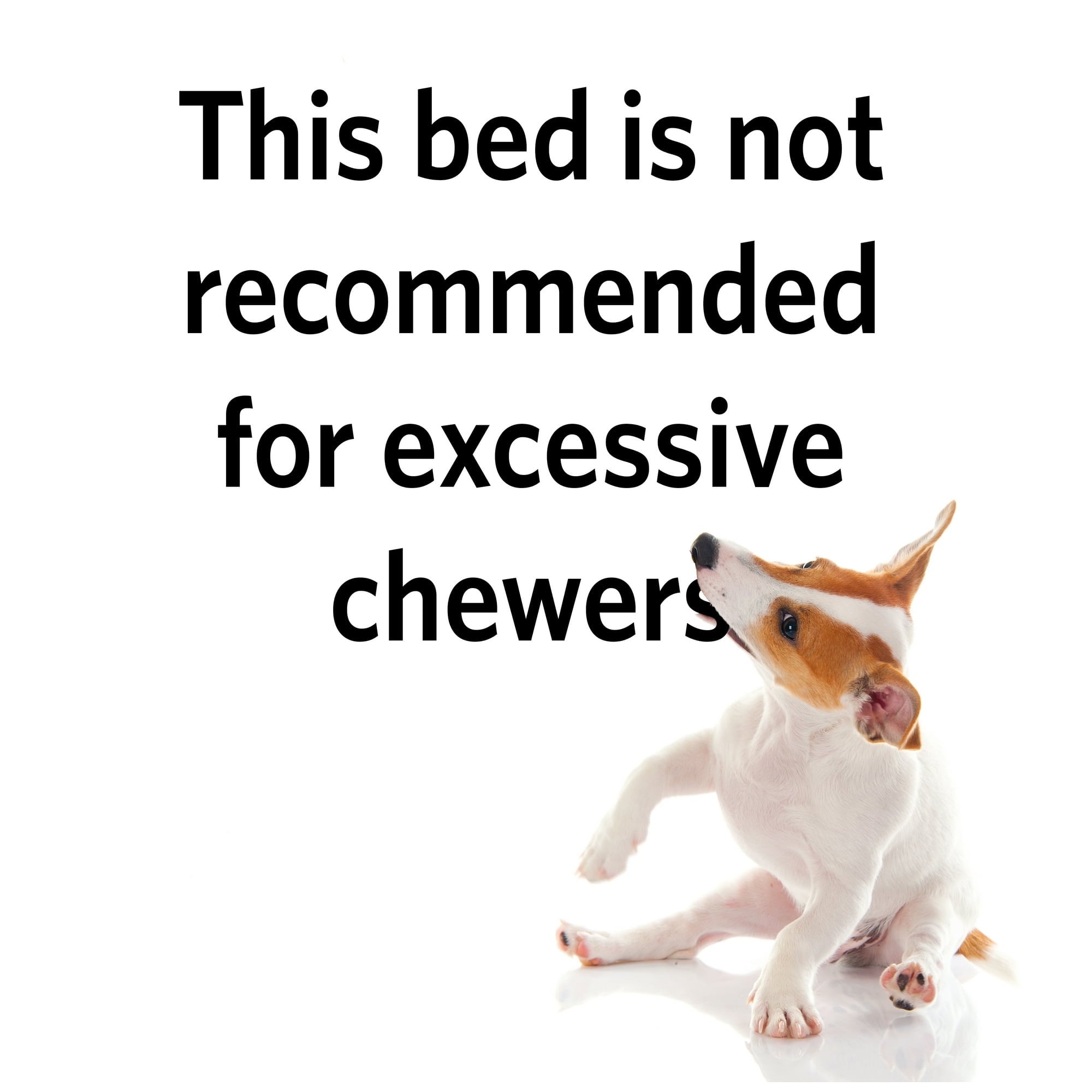 Midwest Homes Ultra-Rugged Max Water Repellent Pet Bed or Crate Mat - Black