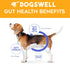 Dogswell Gut Health Slices Chicken Functional Jerky Dog Treats - 8 Oz