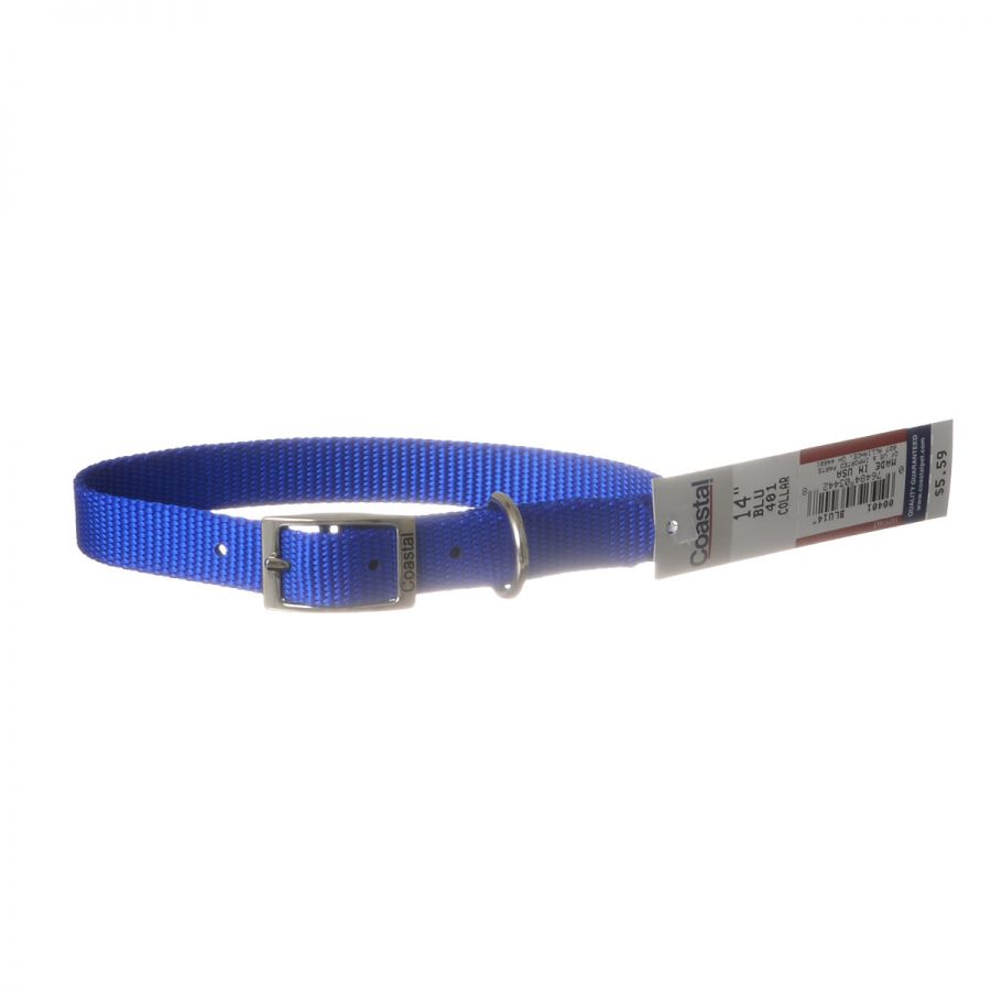 Coastal Single Ply Nylon Dog Collar Blue Medium - L:14 X W:5/8 In