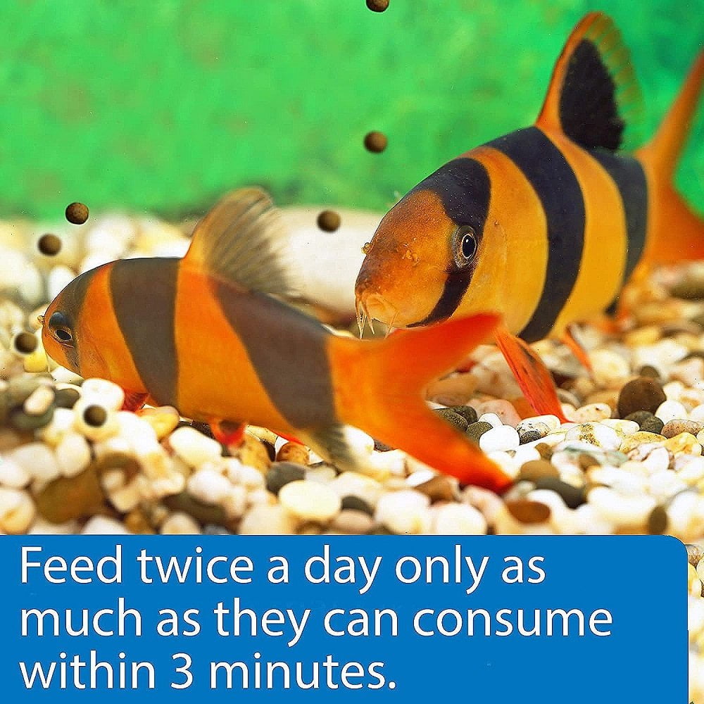 API Bottom Feeder Freeze-Dried Shrimp Pellets Fish Food with Squid