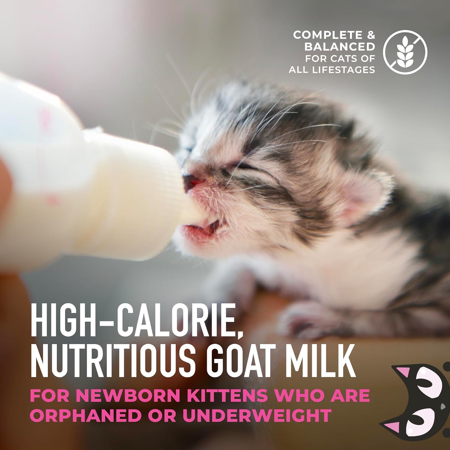 Tiki Cat Baby Milk Replacer with Goats Milk Liquid Kitten Cat Food Supplement Pouch - 6 Oz - Case of 6