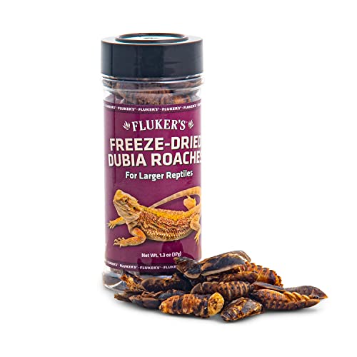 Fluker's Freeze-Dried Dubia Roaches for Birds Fish Hedgehogs and Reptile Food - 1.7 Oz Default Title