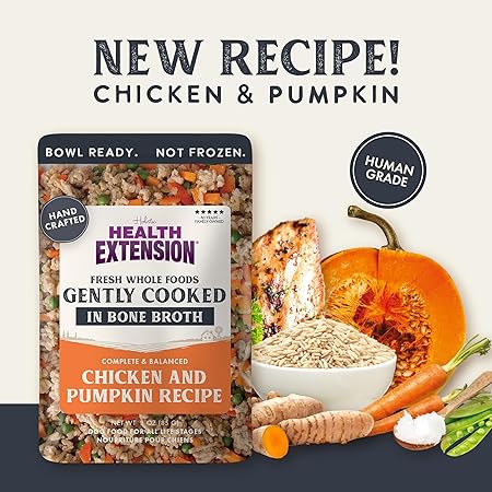 Health Extension Gently Cooked Chicken and Pumpkin in Bone Broth Wet Dog Food Pouch