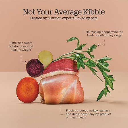 Petcurean Now Fresh Grain-Free Red Meat Turkey Salmon Duck Small-Breed Senior Dry Dog Food - 12 Lbs