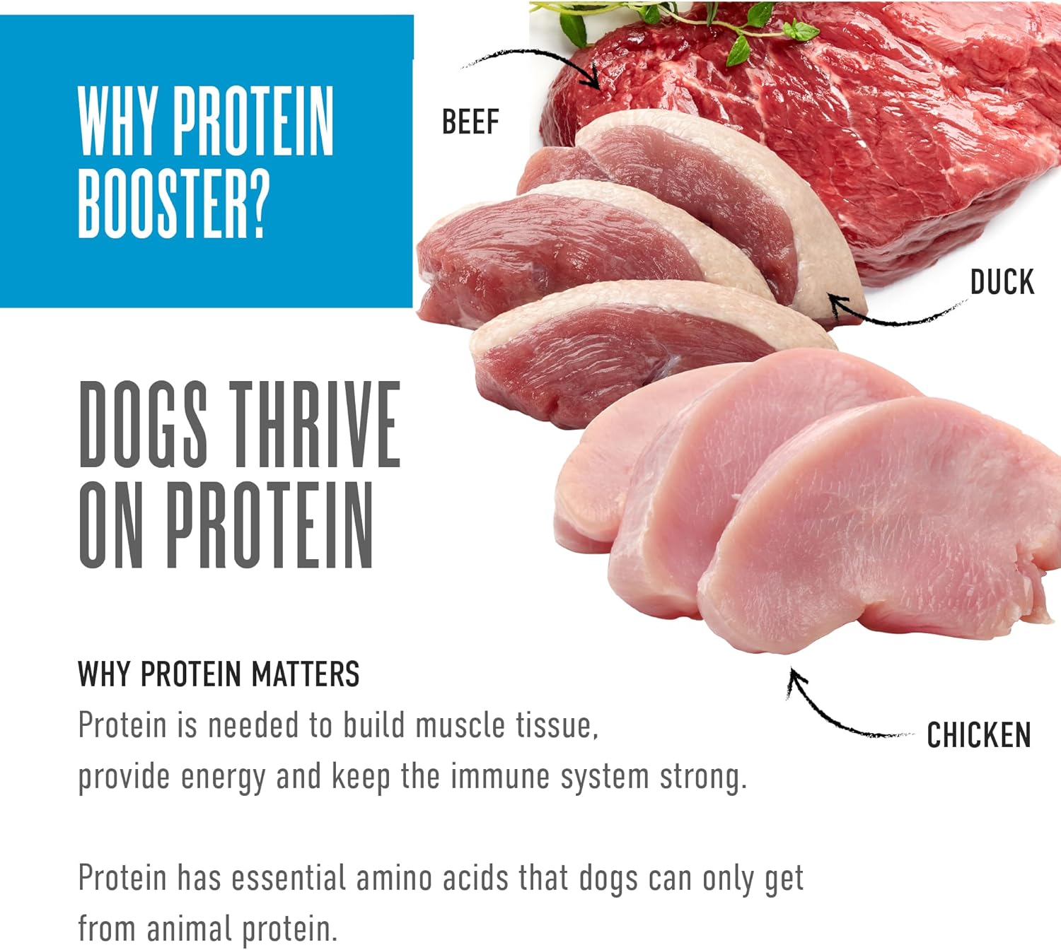 Tiki Dog Born Carnivore Protein Booster Chicken Lamb Duck Egg Beef in Broth Wet Dog Food Topper Pouch - Variety Pack - 2.1 Oz - Case of 12