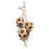 Prevue Pet Products Playfuls Cluster of Fun Forage and Engaging Hanging Bird Toy Default Title