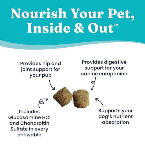 Solid Gold NutrientBoost Mobility Chicken with Glucosamine Functional Soft and Chewy Dog Treats - 5.2 Oz