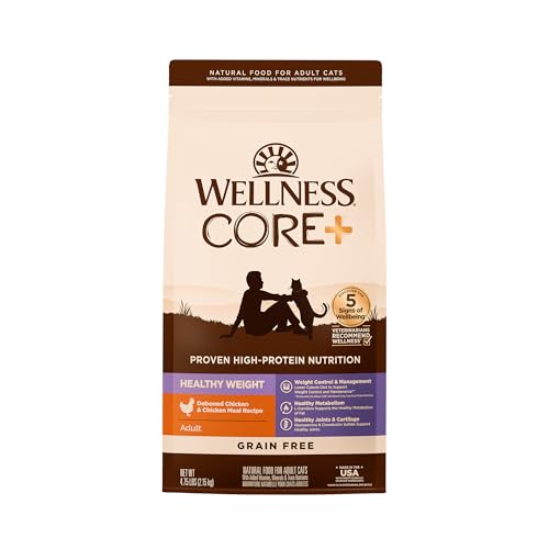 Wellness CORE+ Digestive Health Wholesome Grains Chicken and Rice Adult Dry Cat Food - 4.75 Lbs Default Title