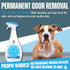Pooph Pet Stain and Odor Eliminator Spray for Dogs and Cats - 20 Oz  