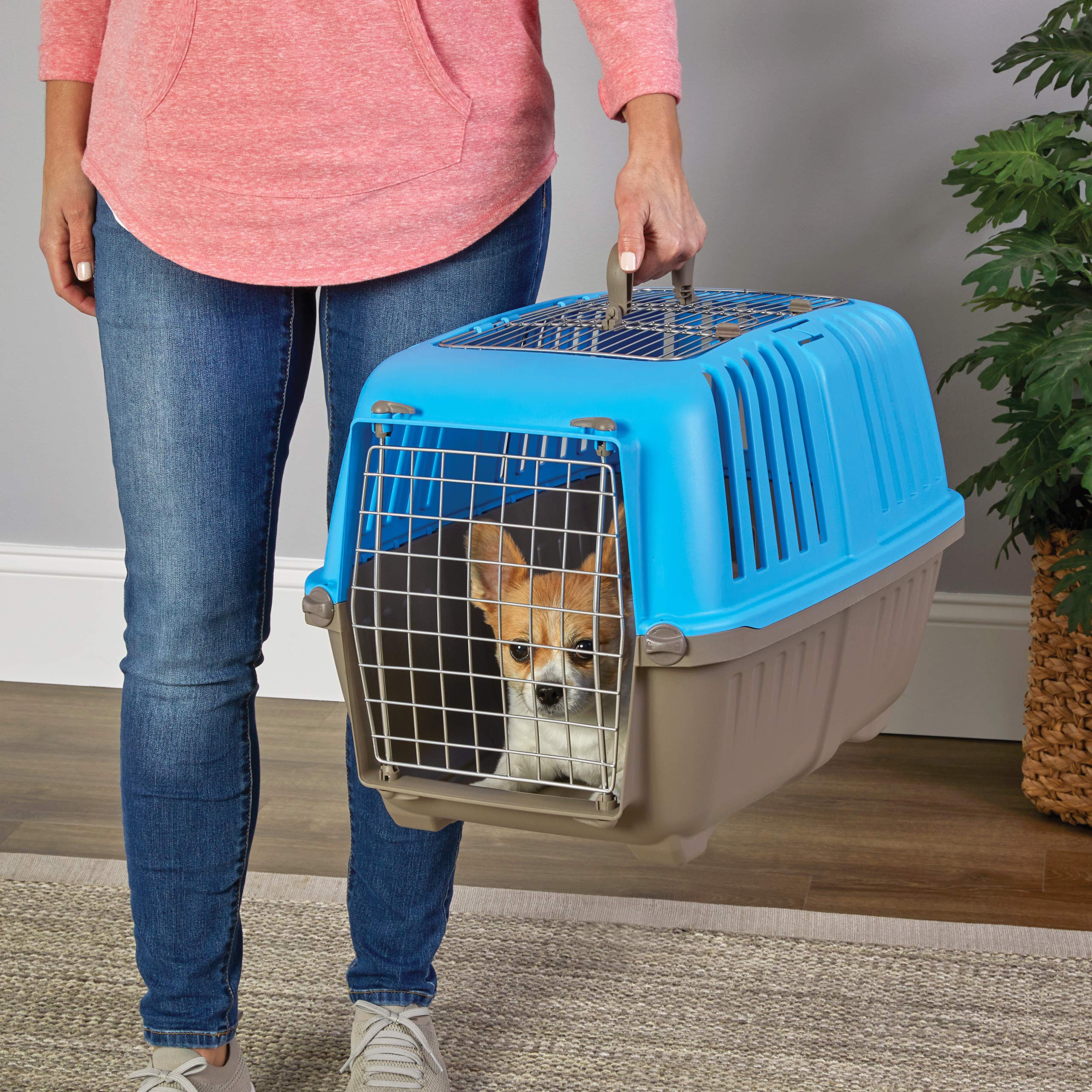Midwest Spree Top Loading Double Door Travel Dog Kennel Carrier - Blue - 24