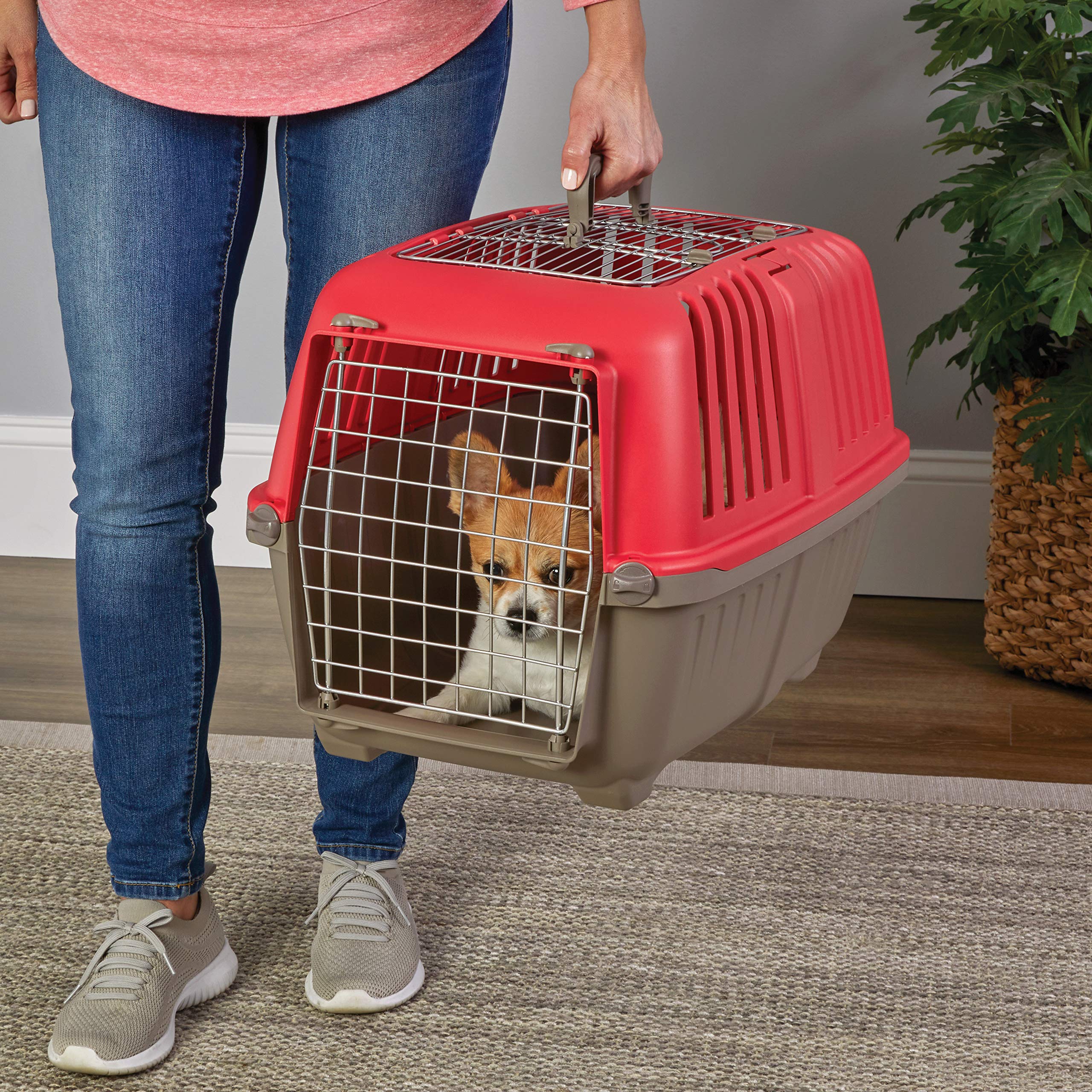 Midwest Spree Top Loading Double Door Travel Dog Kennel Carrier - Red - 24