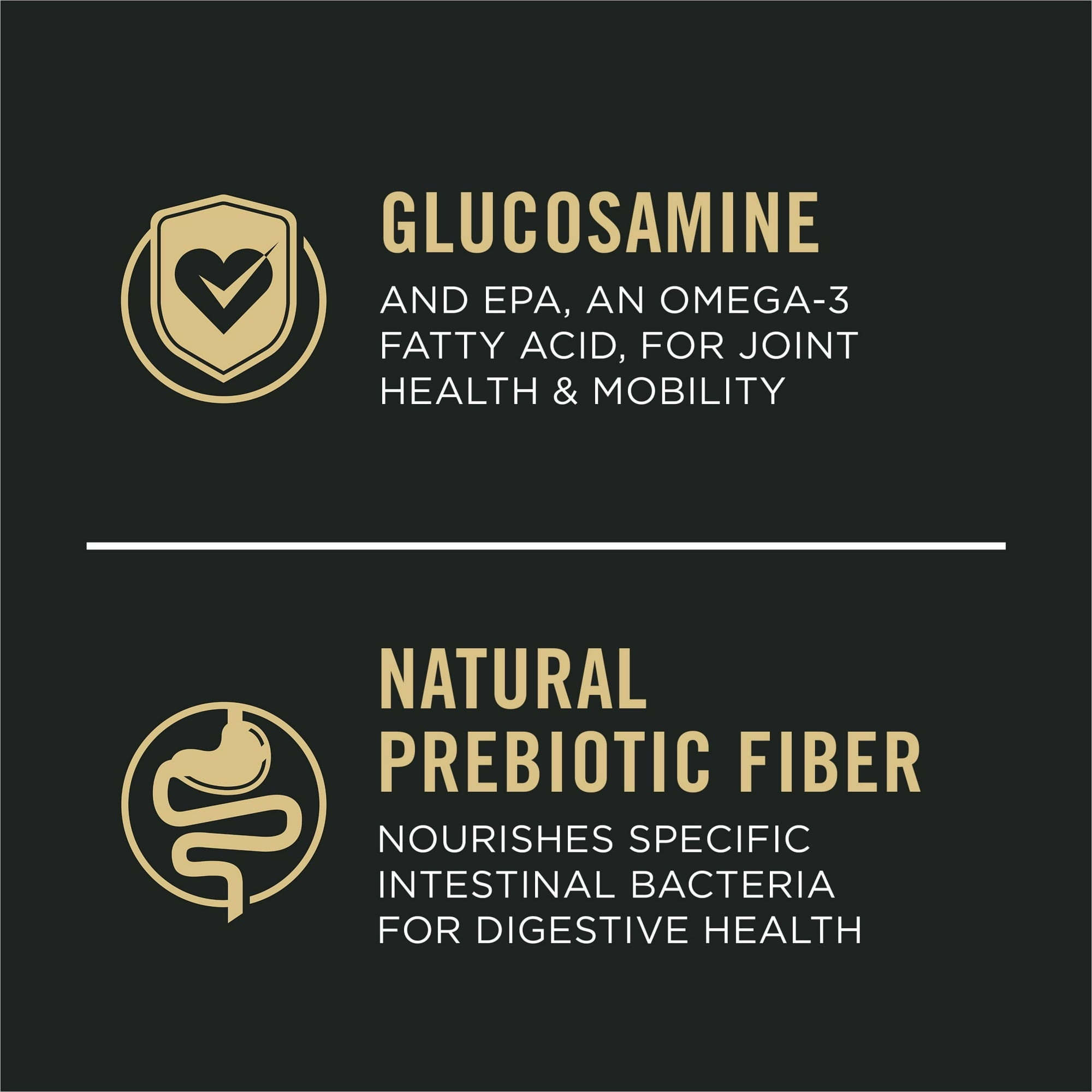 Purina Pro Plan Sensitive Skin and Stomach Salmon and Rice Large-Breed Adult Dry Dog Food