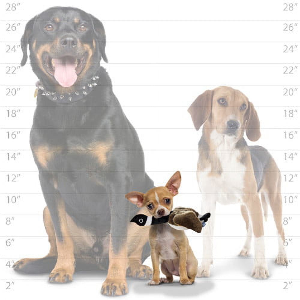 Tuffy Junior Mighty Nature Junior Duck Durable Squeak and Floating Plush Dog Toy