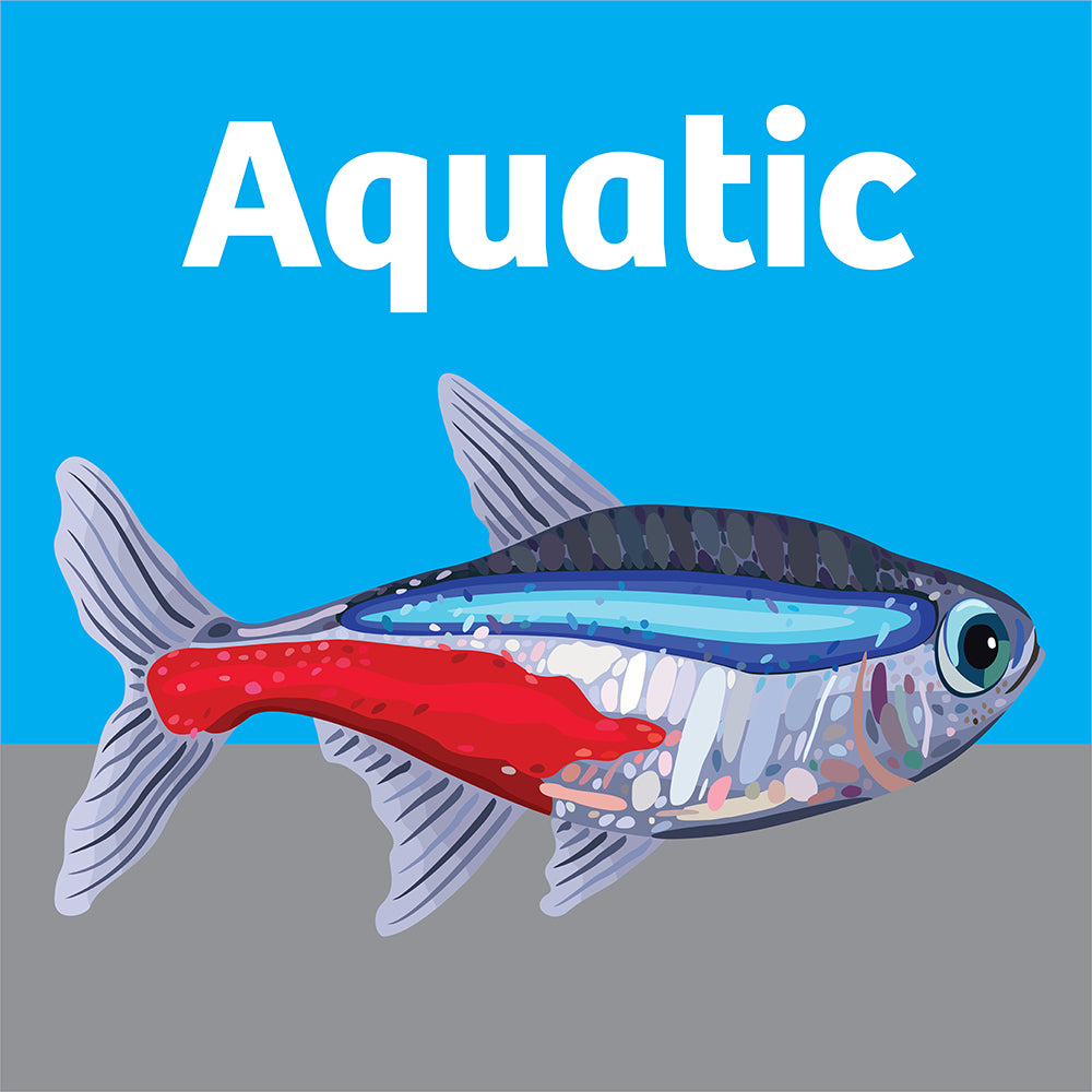 Aquariums and Decor