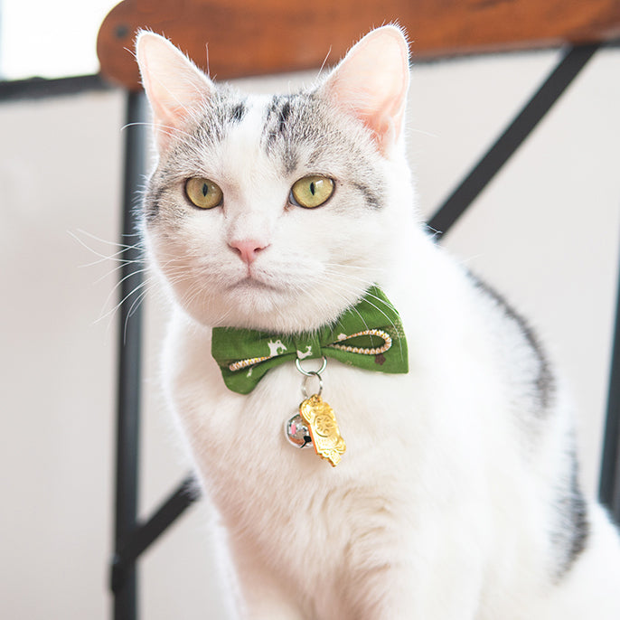 Touchcat ® Glampurr Elegant Fashion Cat Collar with large Bowtie and Bell Charm