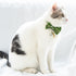 Touchcat ® Glampurr Elegant Fashion Cat Collar with large Bowtie and Bell Charm