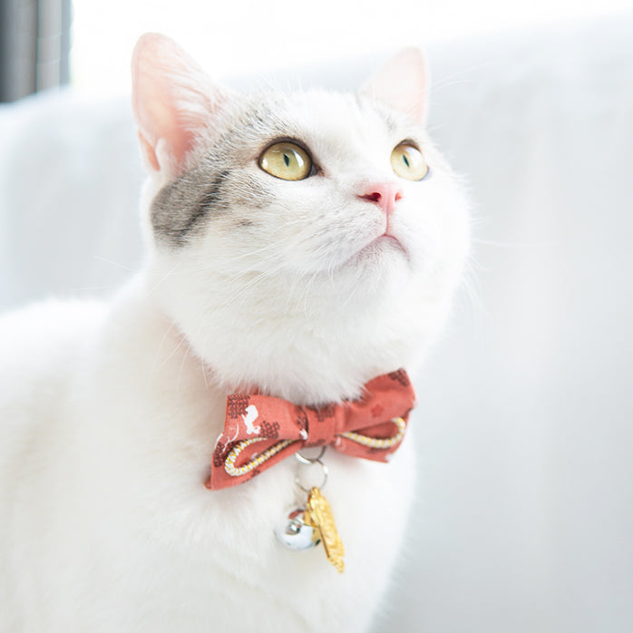 Touchcat ® Glampurr Elegant Fashion Cat Collar with large Bowtie and Bell Charm