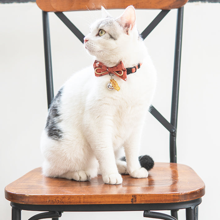 Touchcat ® Glampurr Elegant Fashion Cat Collar with large Bowtie and Bell Charm
