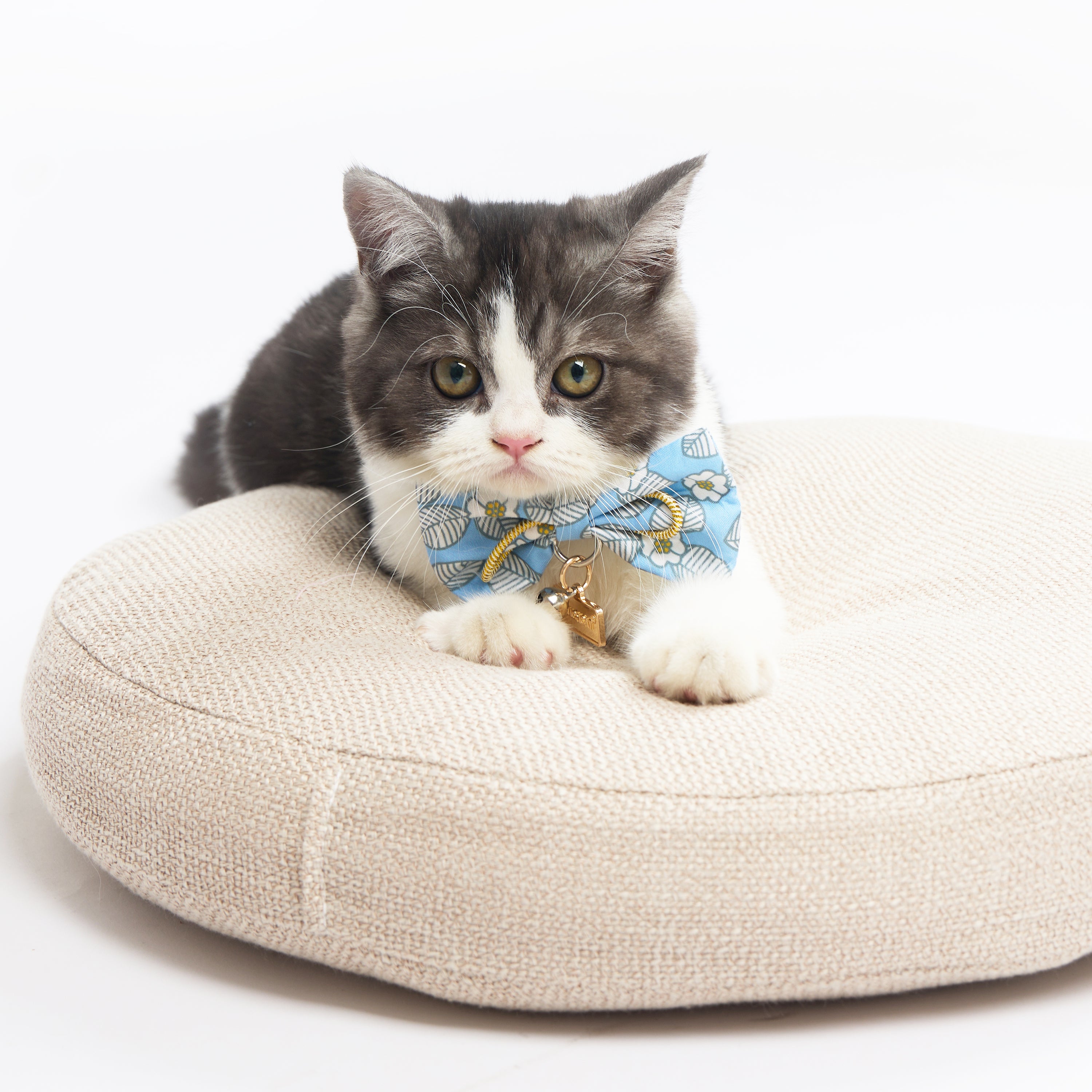 Touchcat ® Floral Patterned Designer Cat Collar with Bow - Blue - Large
