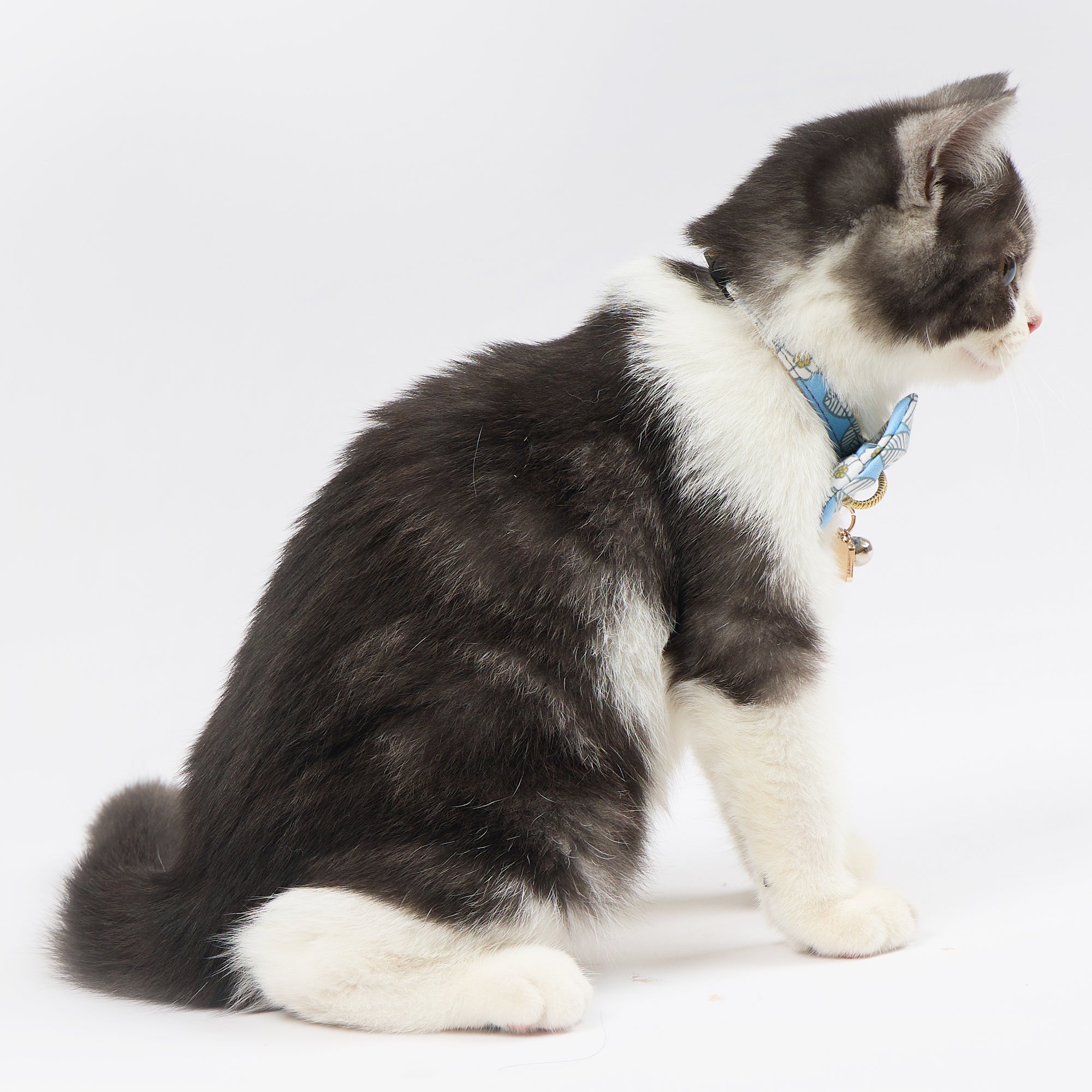 Touchcat ® Floral Patterned Designer Cat Collar with Bow - Blue - Large