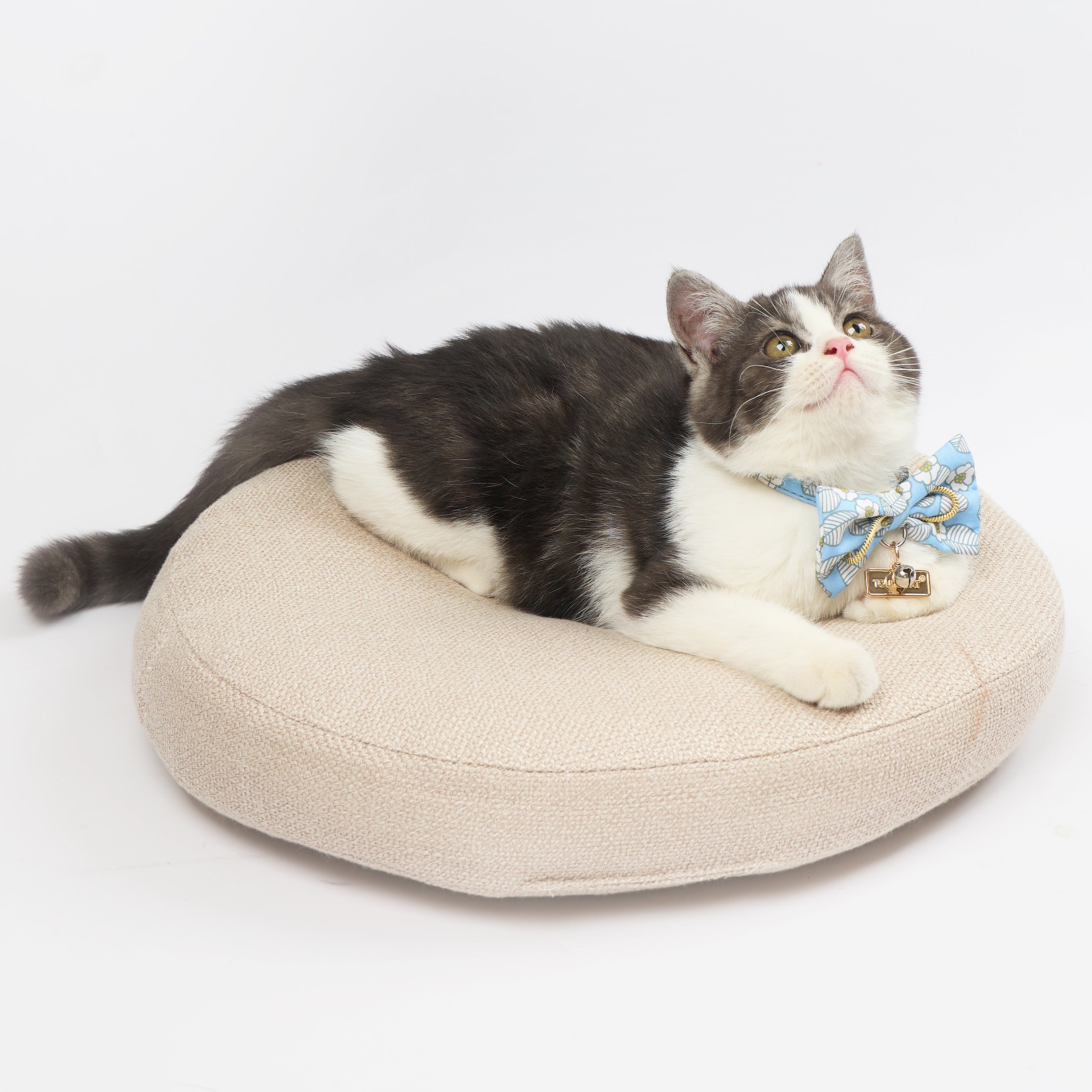 Touchcat ® Floral Patterned Designer Cat Collar with Bow - Blue - Large
