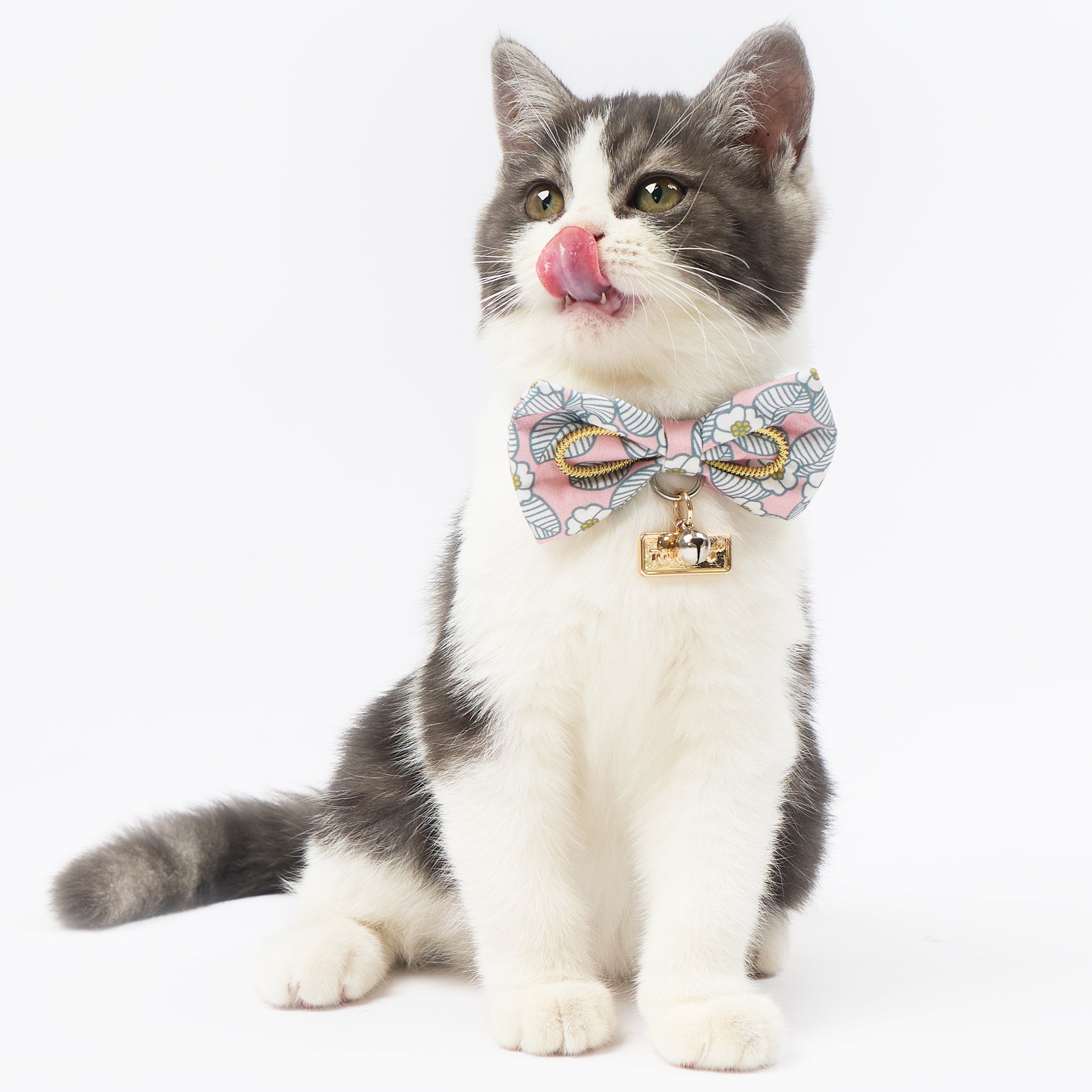 Touchcat ® Floral Patterned Designer Cat Collar with Bow - Blue - Large