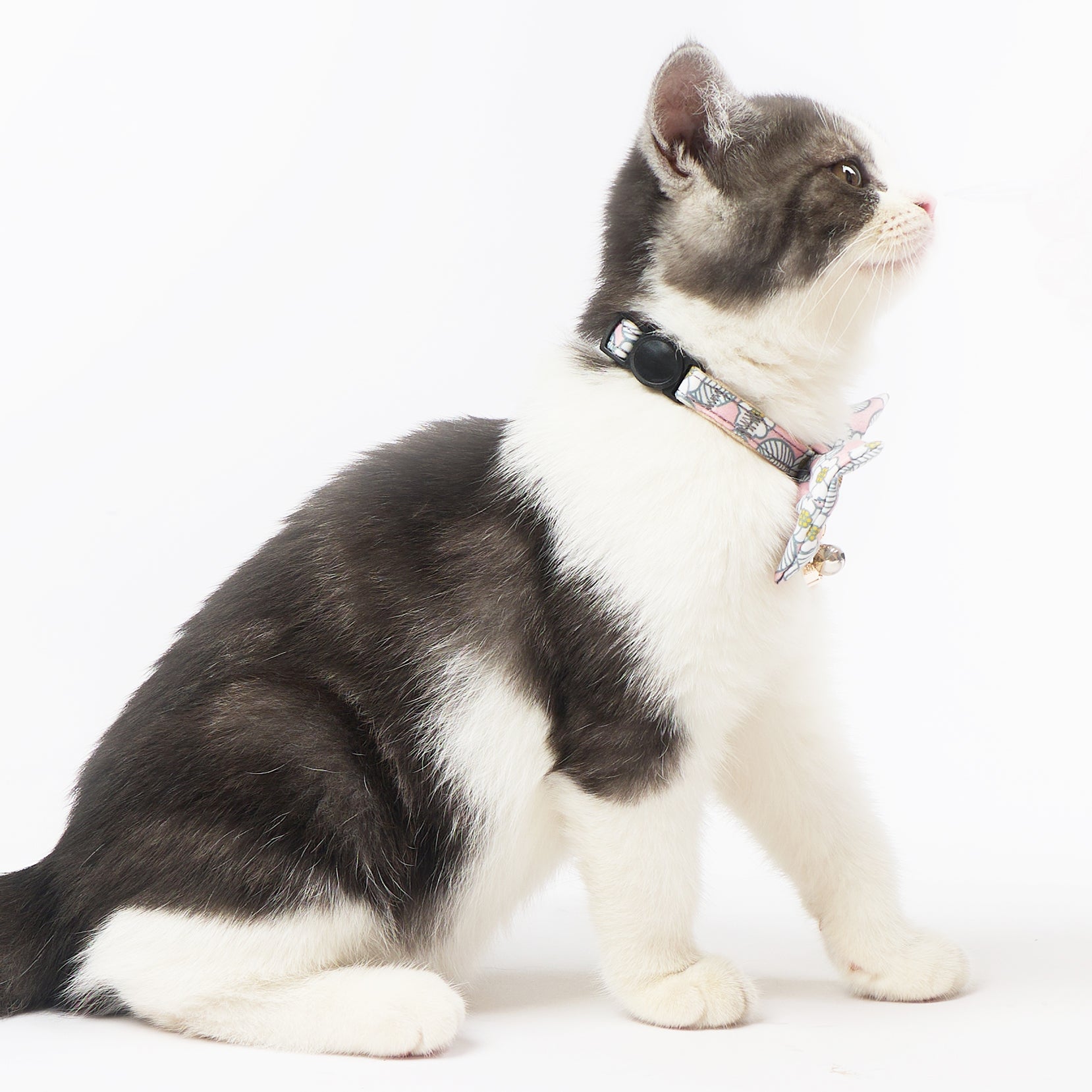 Touchcat ® Floral Patterned Designer Cat Collar with Bow - Blue - Large