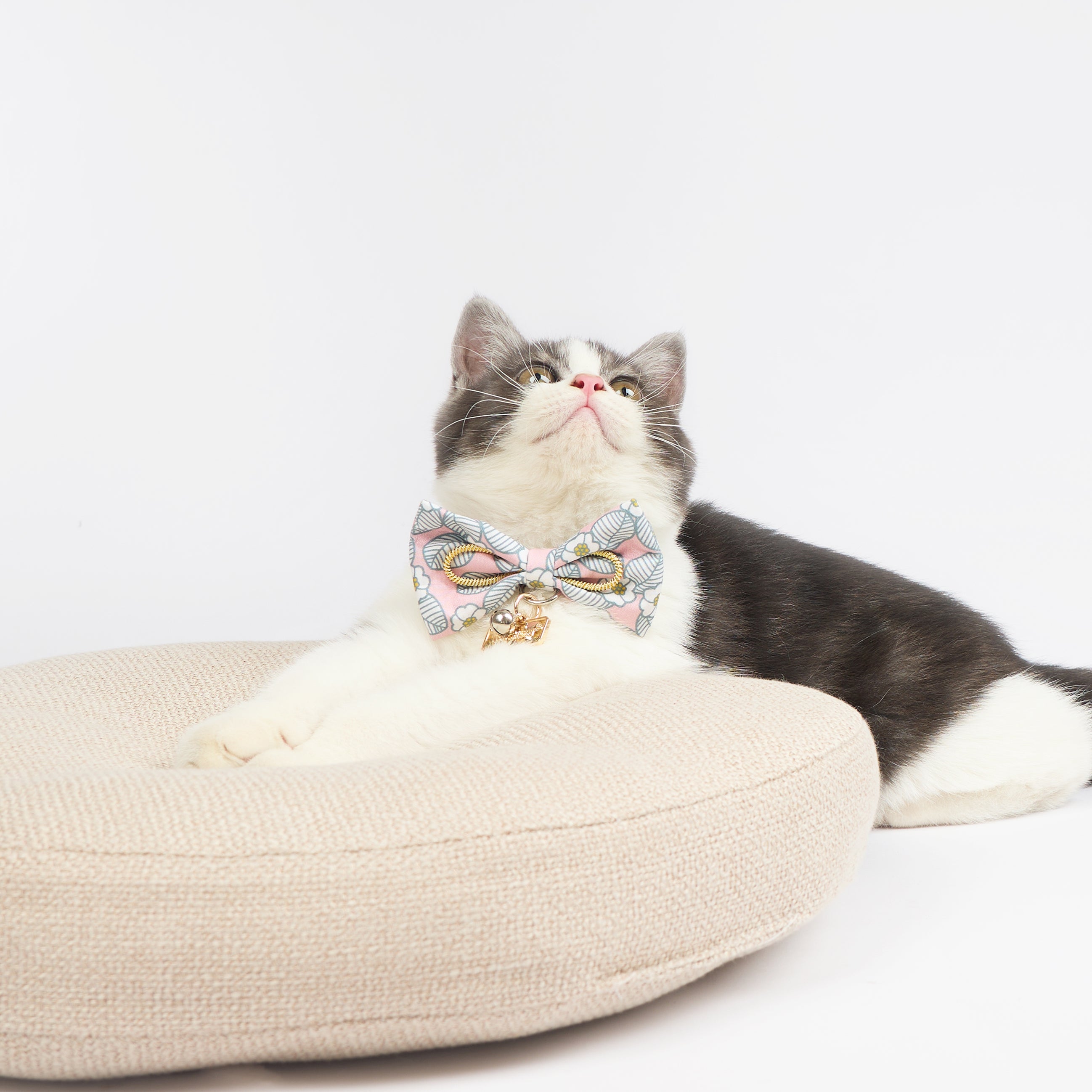 Touchcat ® Floral Patterned Designer Cat Collar with Bow - Blue - Large