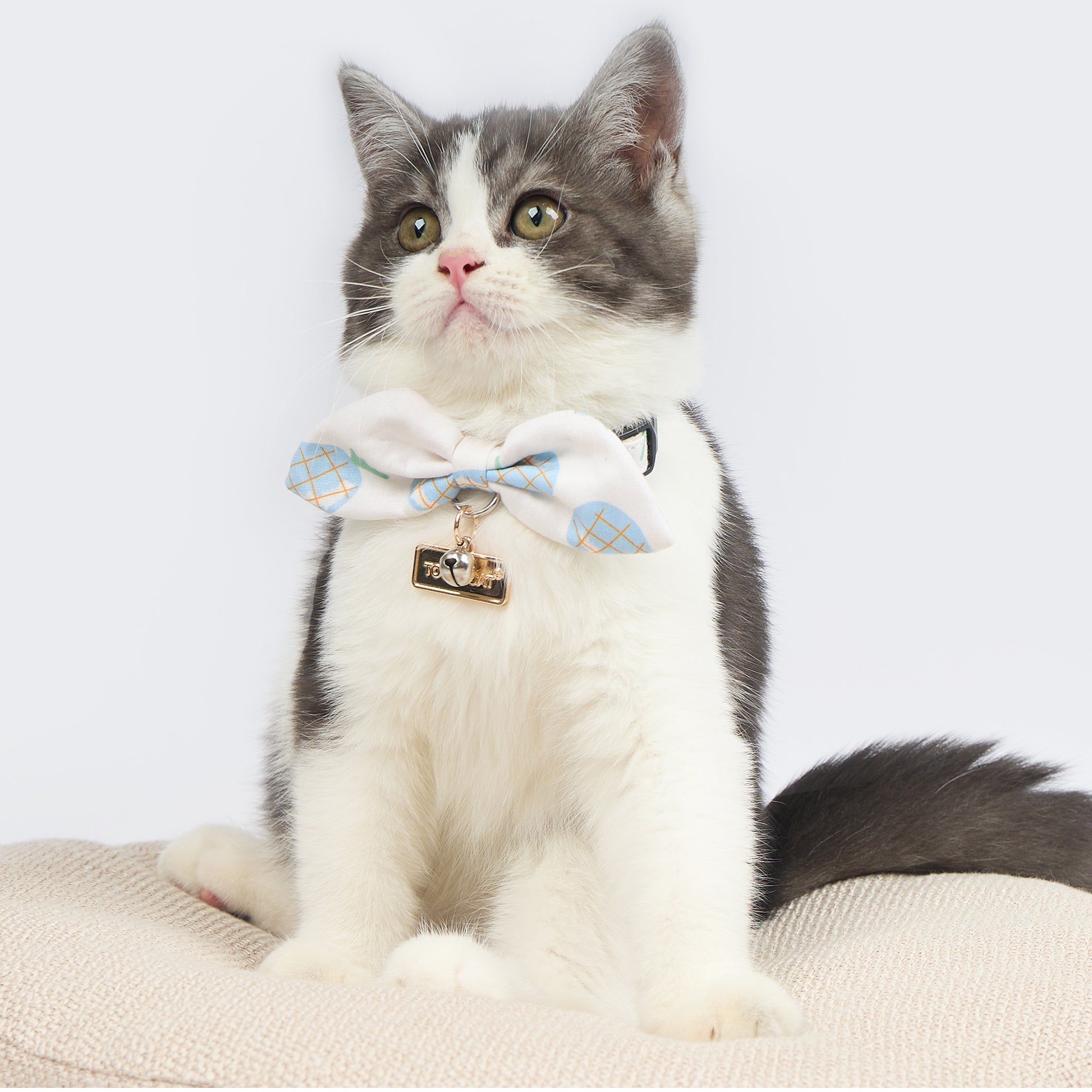 Touchcat ® Pineapple Patterned Designer Cat Collar with Bow