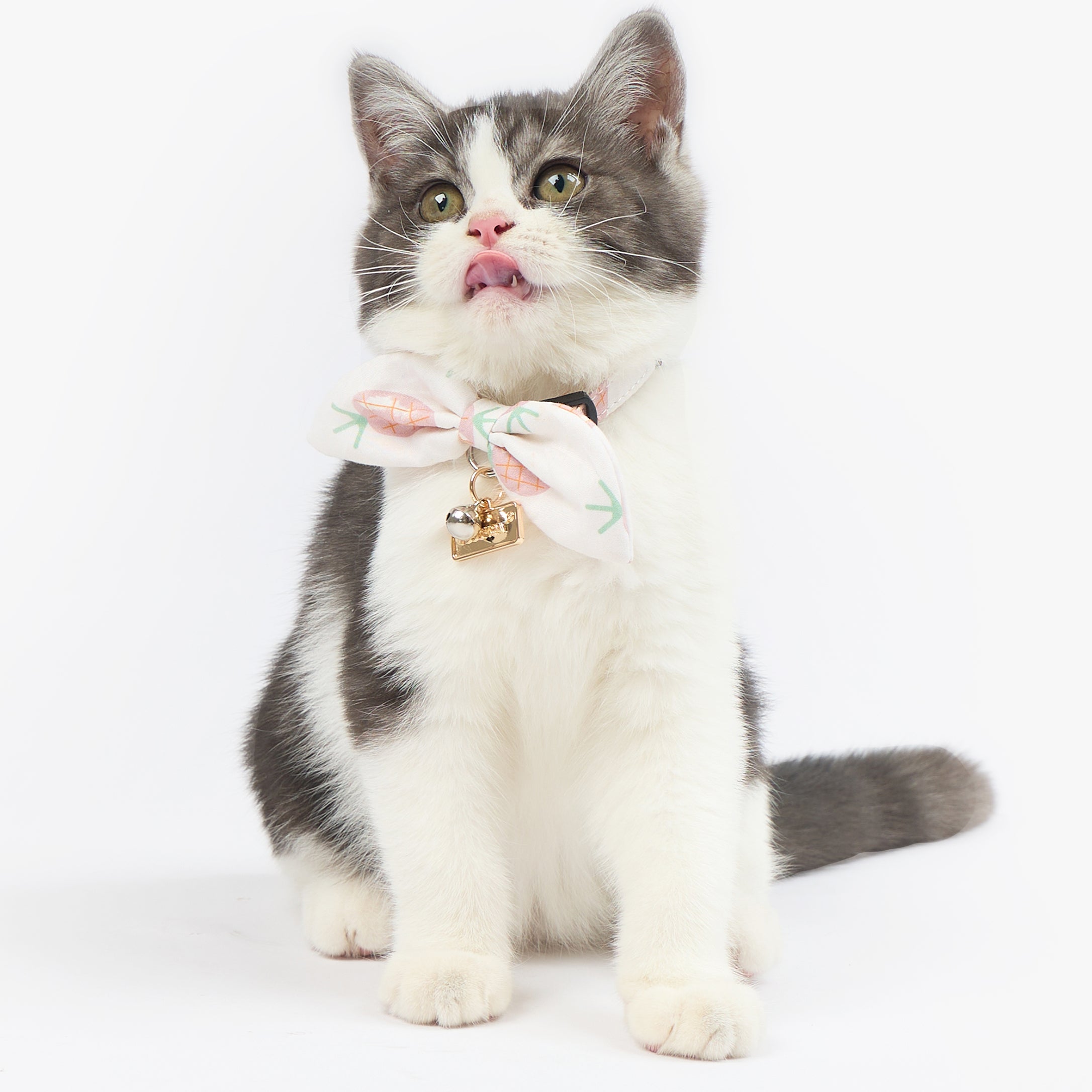 Touchcat ® Pineapple Patterned Designer Cat Collar with Bow