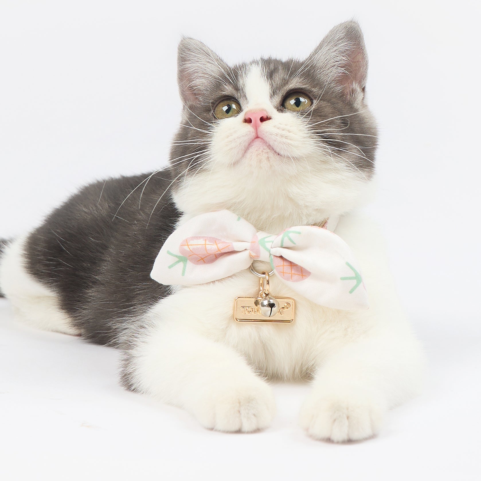 Touchcat ® Pineapple Patterned Designer Cat Collar with Bow
