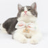 Touchcat ® Pineapple Patterned Designer Cat Collar with Bow