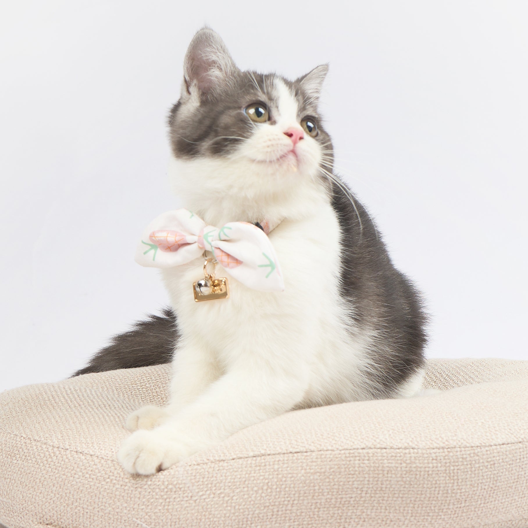 Touchcat ® Pineapple Patterned Designer Cat Collar with Bow