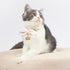 Touchcat ® Pineapple Patterned Designer Cat Collar with Bow