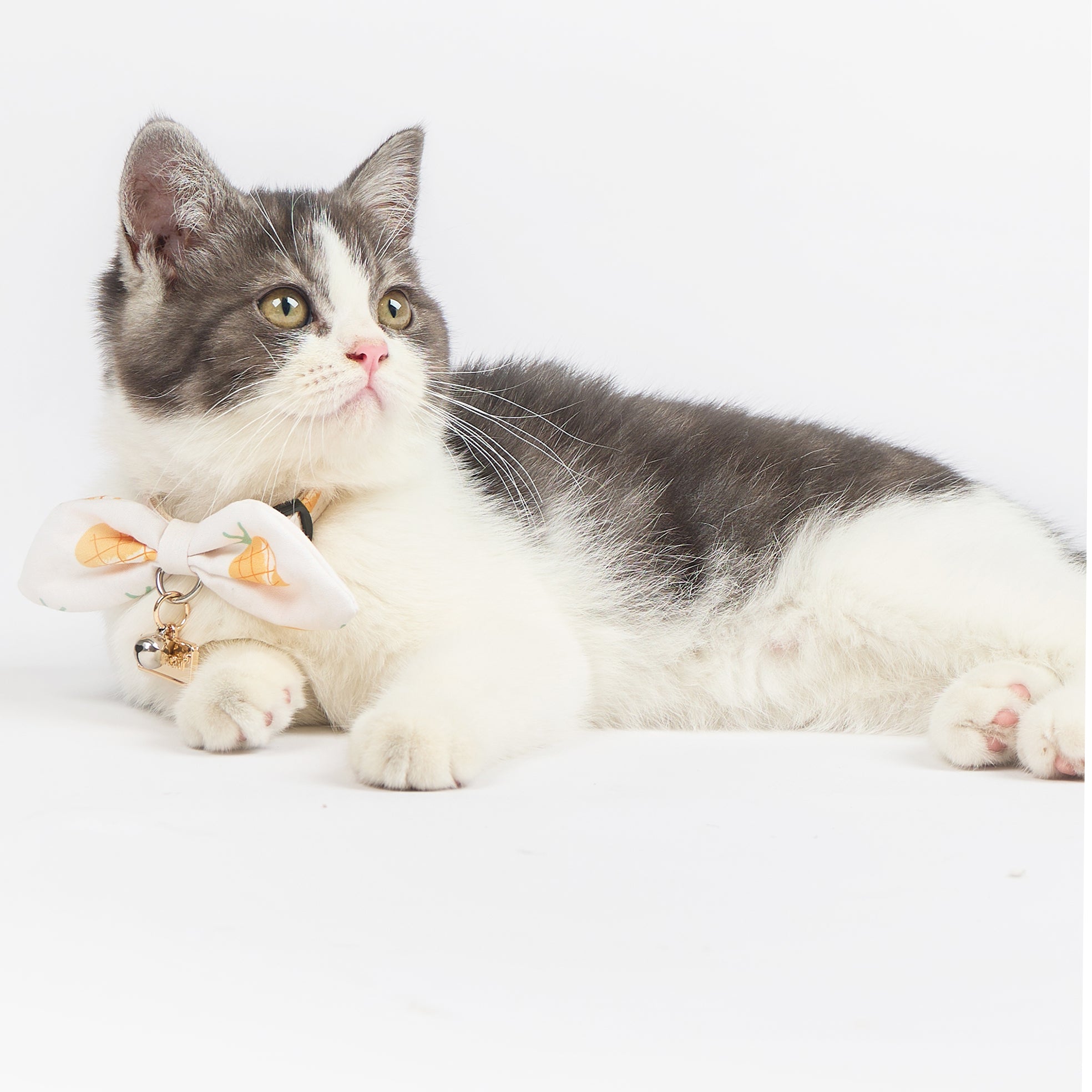 Touchcat ® Pineapple Patterned Designer Cat Collar with Bow