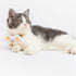 Touchcat ® Pineapple Patterned Designer Cat Collar with Bow
