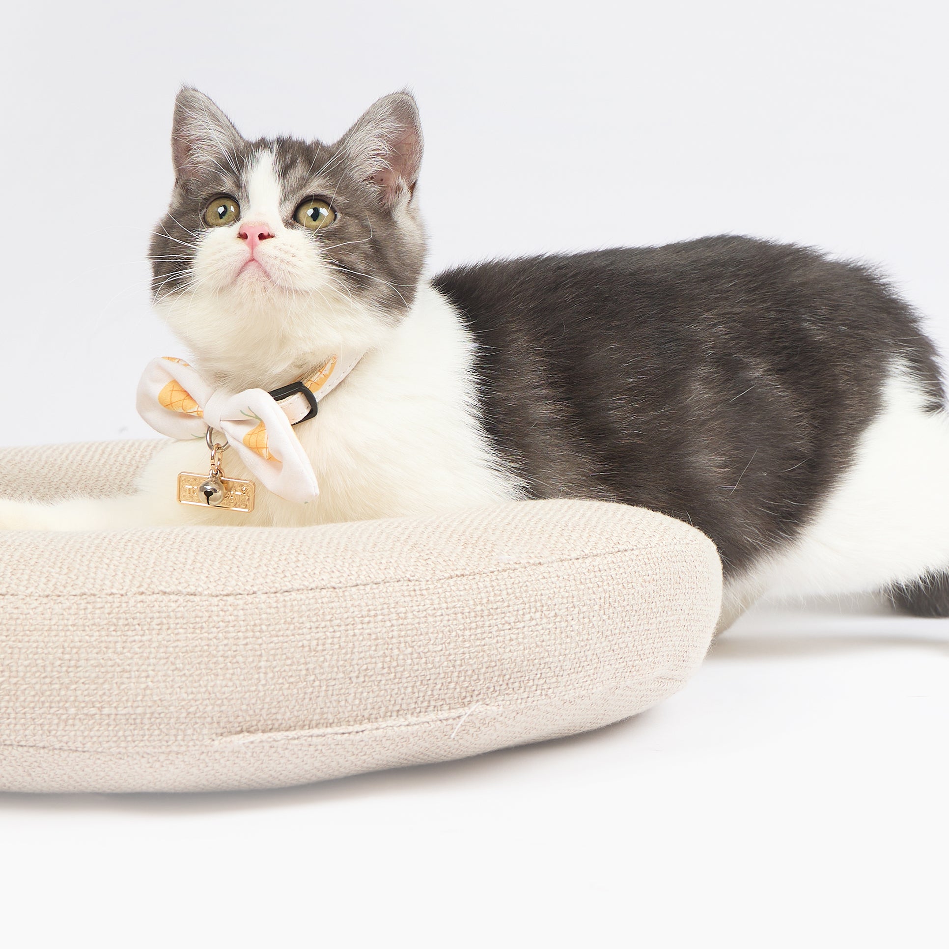 Touchcat ® Pineapple Patterned Designer Cat Collar with Bow