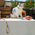 Touchcat ® Multi-Shape Patterned Fashion Cat Harness and Leash