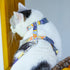 Touchcat ® Multi-Shape Patterned Fashion Cat Harness and Leash