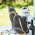 Touchcat ® Multi-Shape Patterned Fashion Cat Harness and Leash