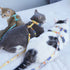 Touchcat ® Multi-Shape Patterned Fashion Cat Harness and Leash