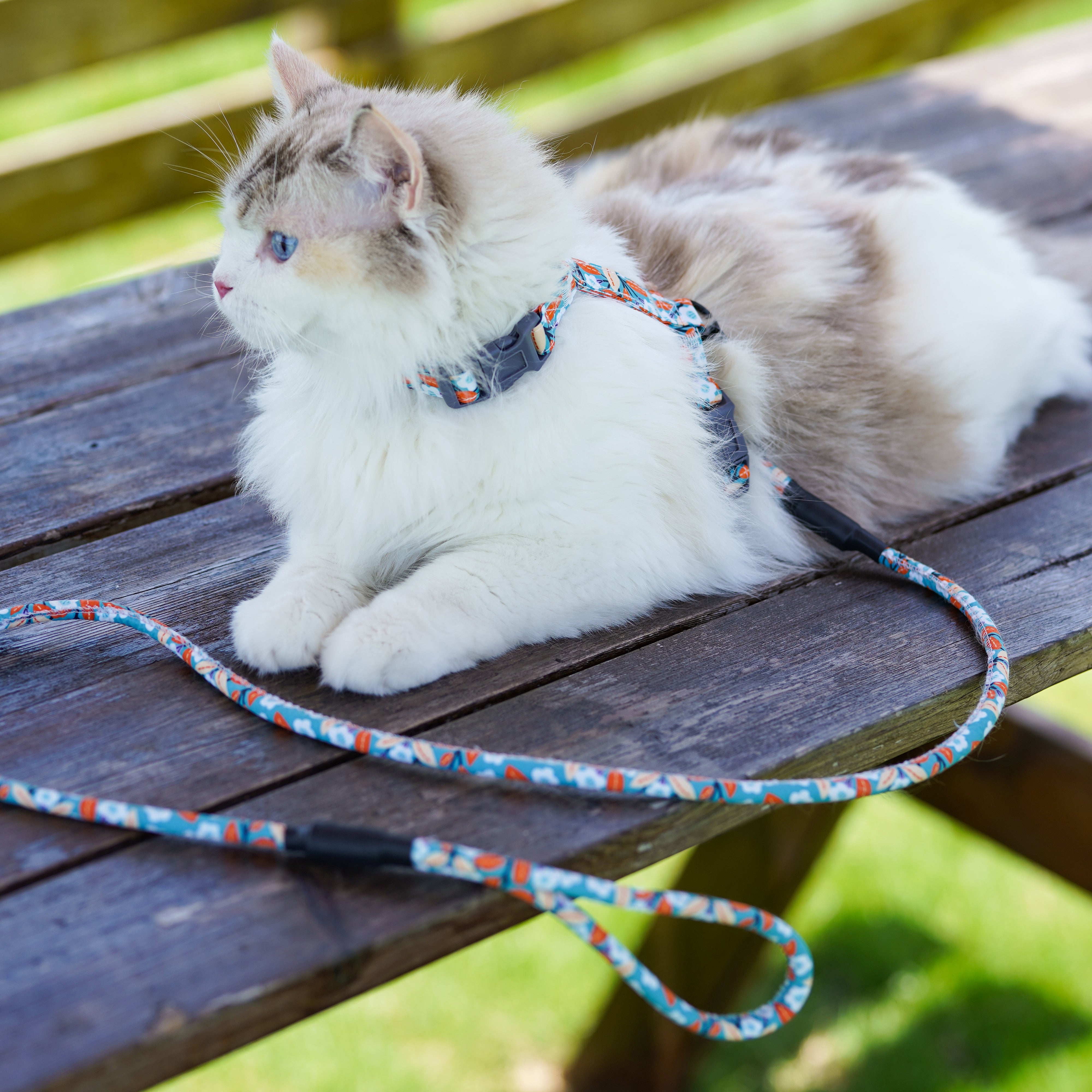 Touchcat ® Tropical Patterned Fashion Cat Harness and Leash