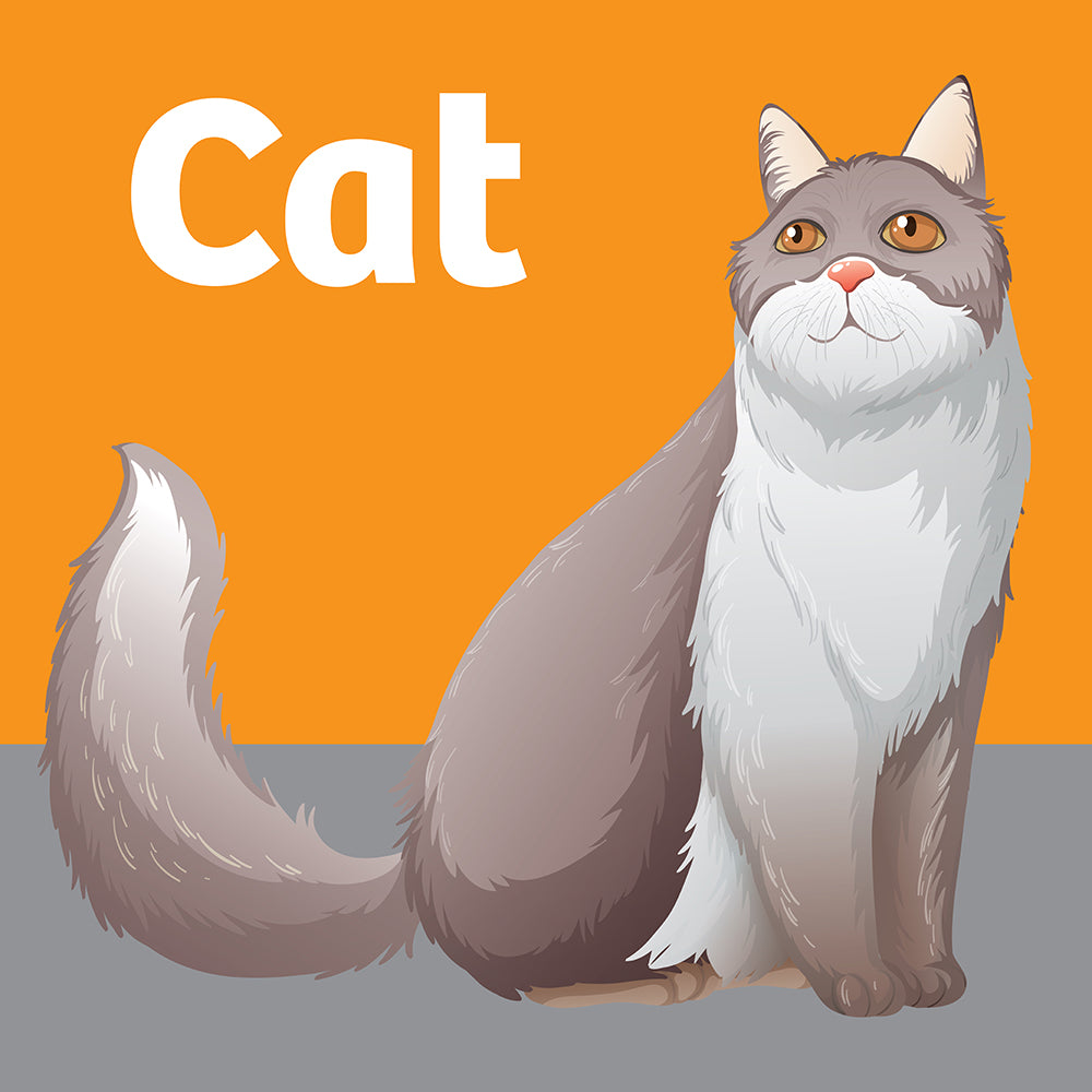 Cat Accessories