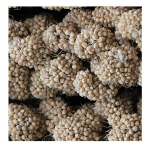 Higgins Sunshine Spray Millet Domestic and Wild Bird Treats - 25 Lbs Box Default Title