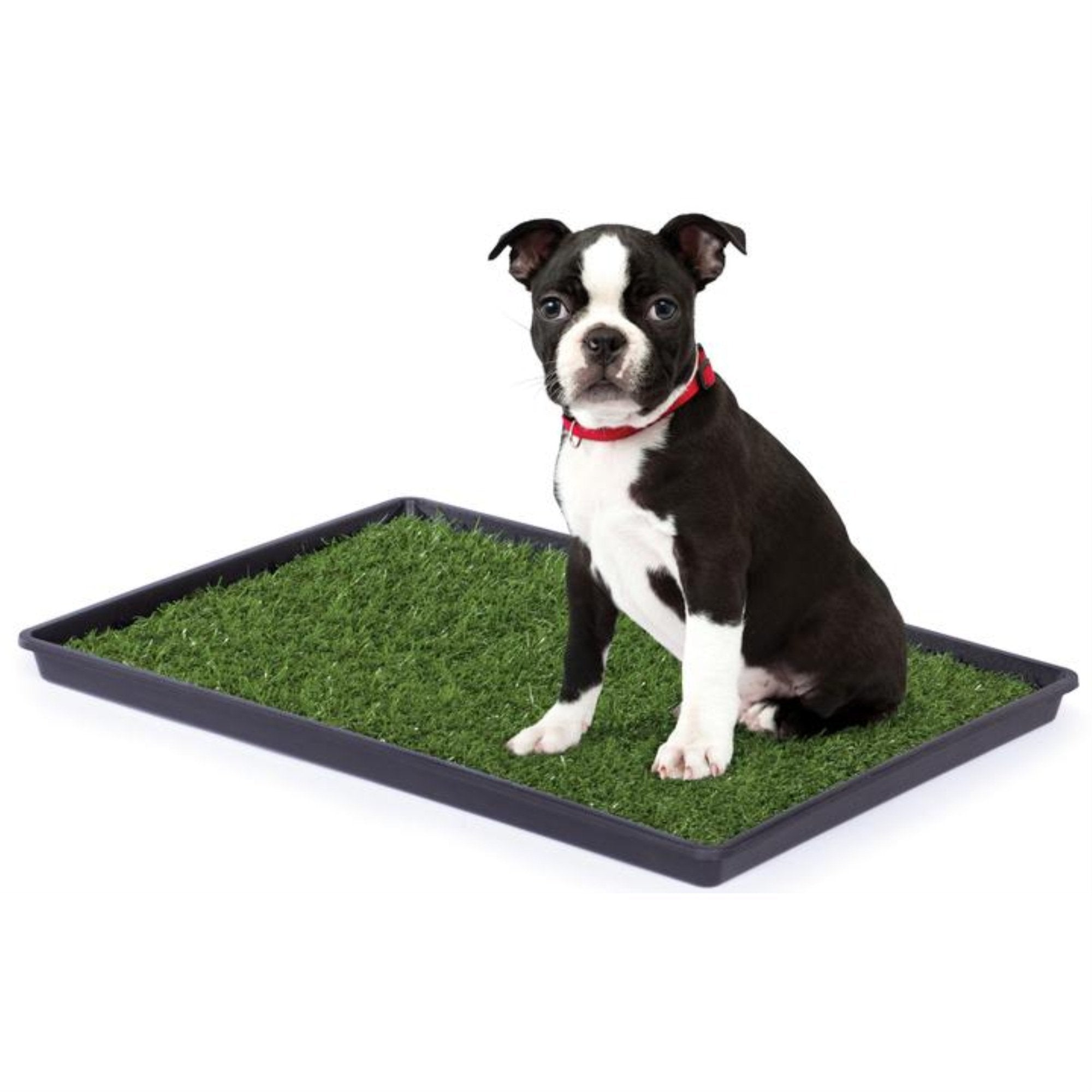 Prevue Pet Products Tinkle Turf Indoor Portable Faux-Grass Pee Turf with Tray Small - L:22.8 X W:16.3 X H:1.25 In